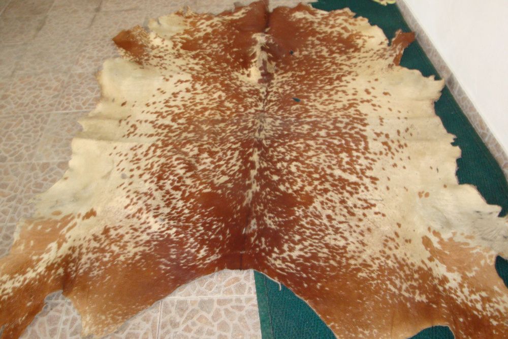 Pele de Boi raça zebuína c/ imagem exótica