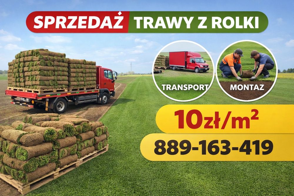 Trawa z rolki trawa w rolce trawnik sprzedaż transport montaż