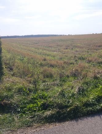 Działka rolno-inwestycyjna 2 z własnym odrębnym wjazdem k. Kłobucka - Widok 3