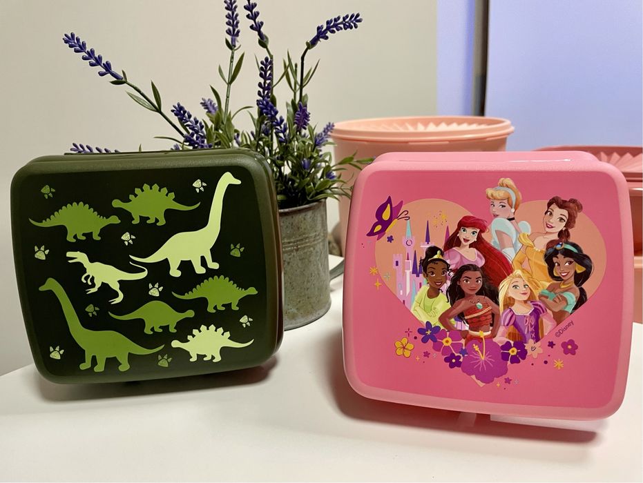 Ecogarrafas crianças tupperware