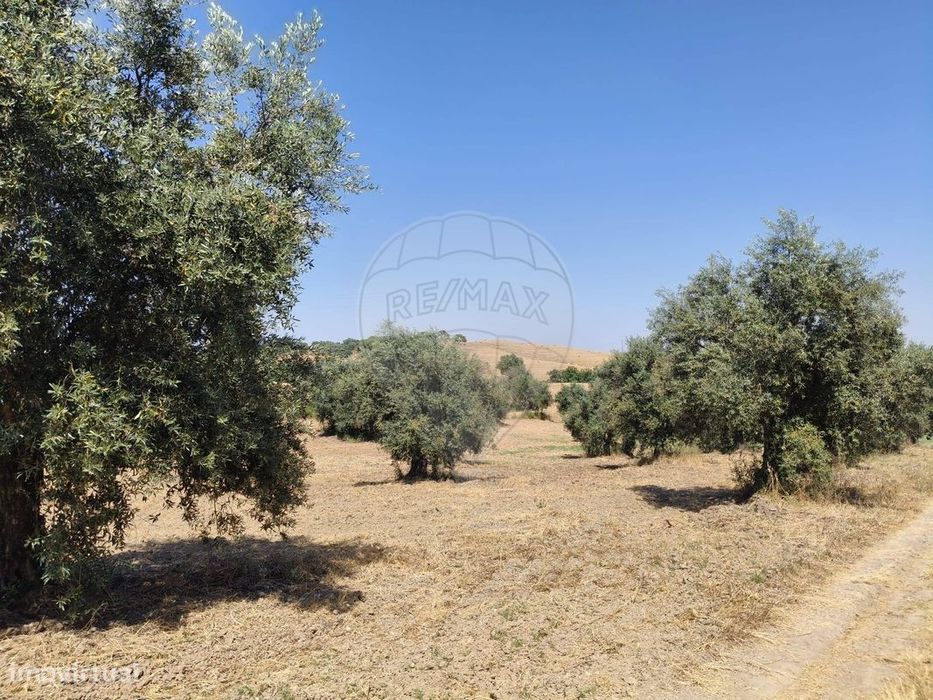 Terreno  para venda — Cortiçadas De Lavre E Lavre, Évora