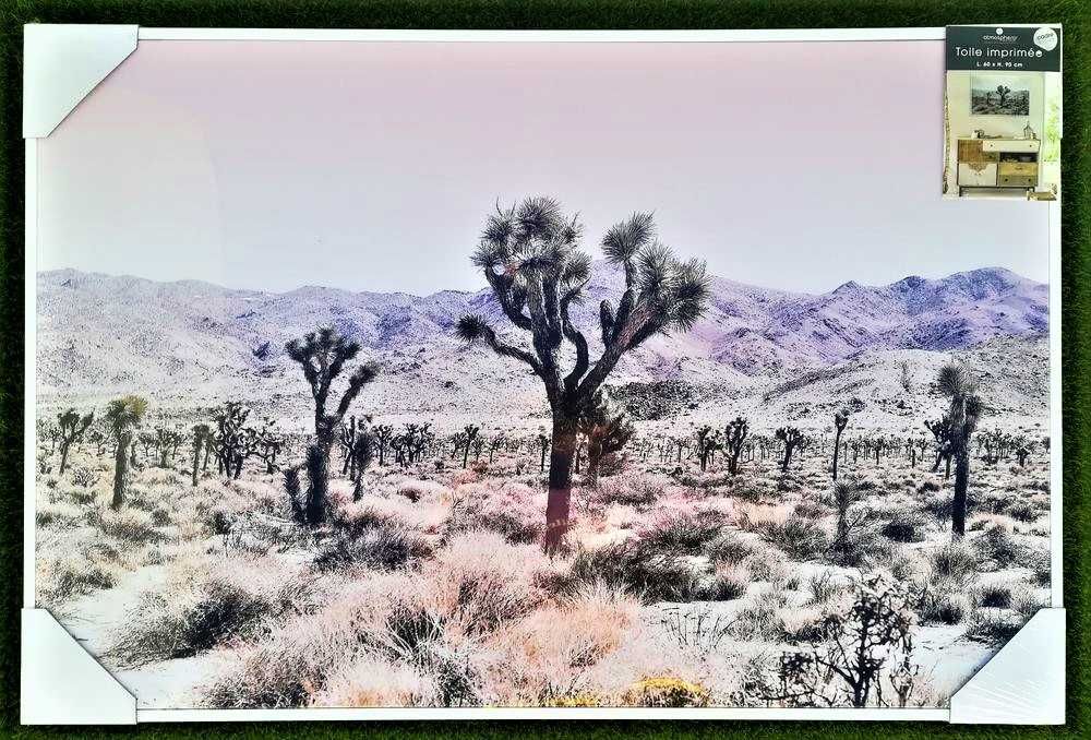 Tela de Deserto 60 X 90 Nova