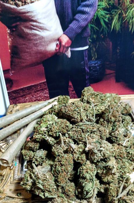 10g ROYAL SKYWALKER Susz Roślinny cbt cbl cbc odlot! Działa! Promocja!