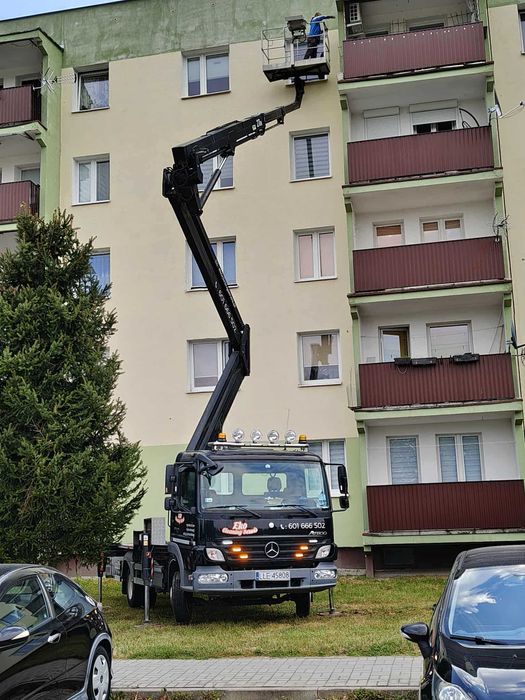 Wycinka, podcinka drzew