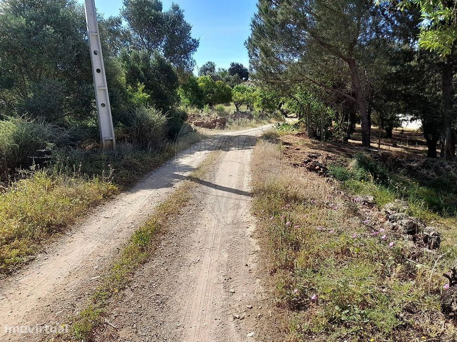 Terreno  para venda