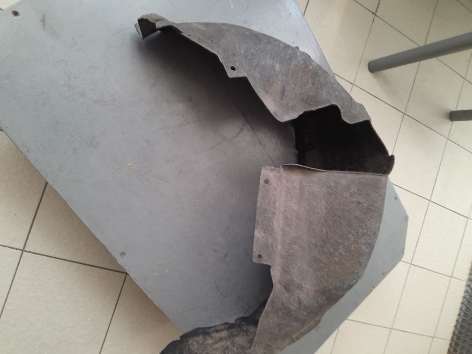 Задні підкрилки ворсові