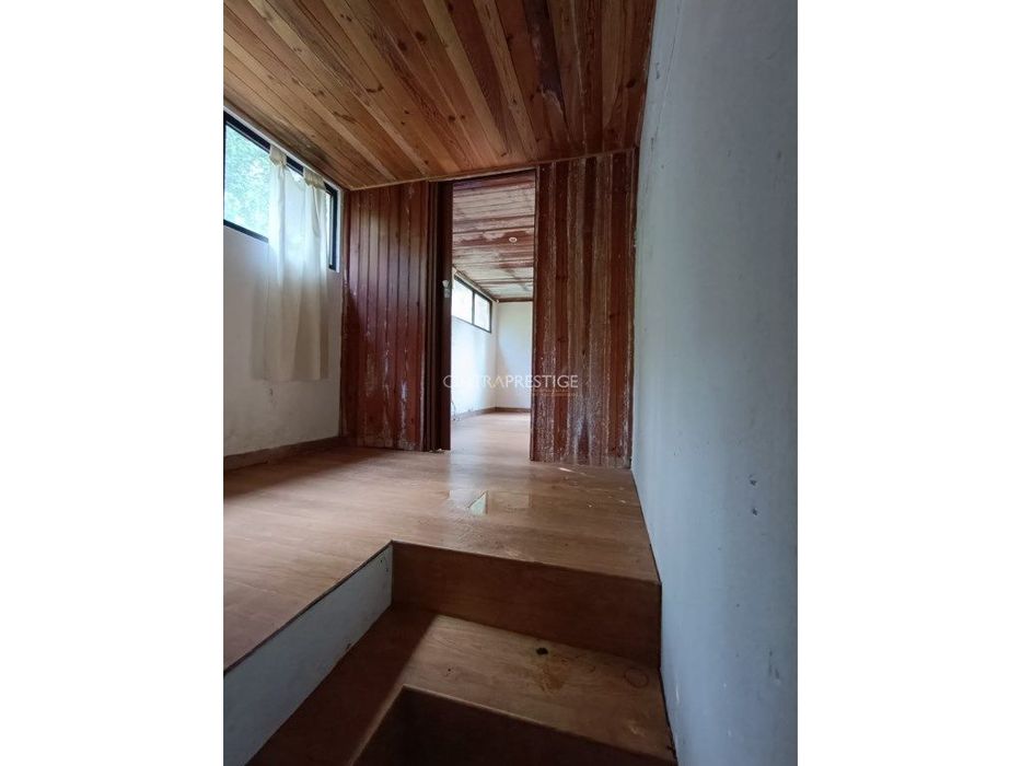 Casa implantada em terreno de 2200 m2 em pleno Pinhal de Colares