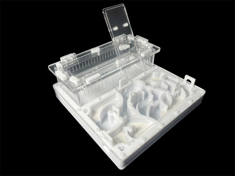 Купити мурашину ферму 20х20 см за 1100 грн – модерн для мурашок