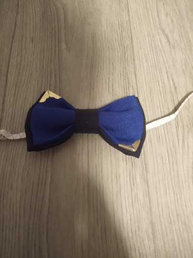 Бабочки, метелики, бабочка-галстук для хлопчиків