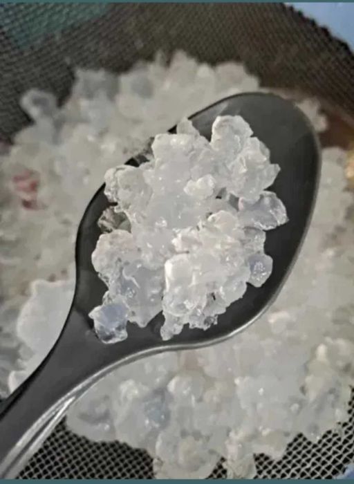 Kefir, algi japońskie