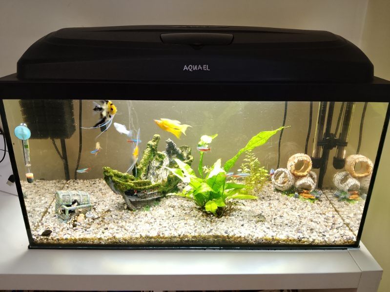 Akwarium Aquael 60l