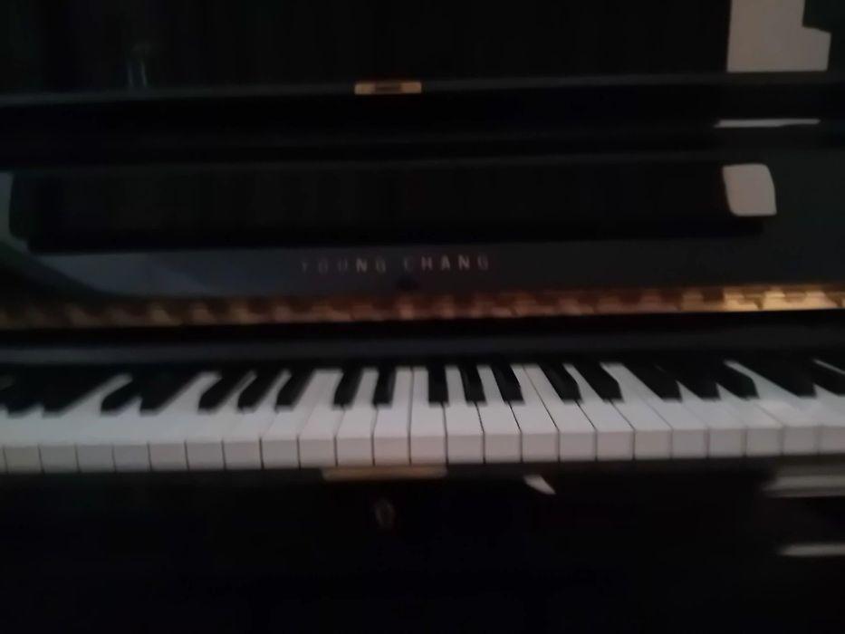 Piano  young chang