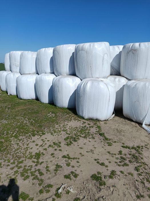 Baloty sianokiszonki