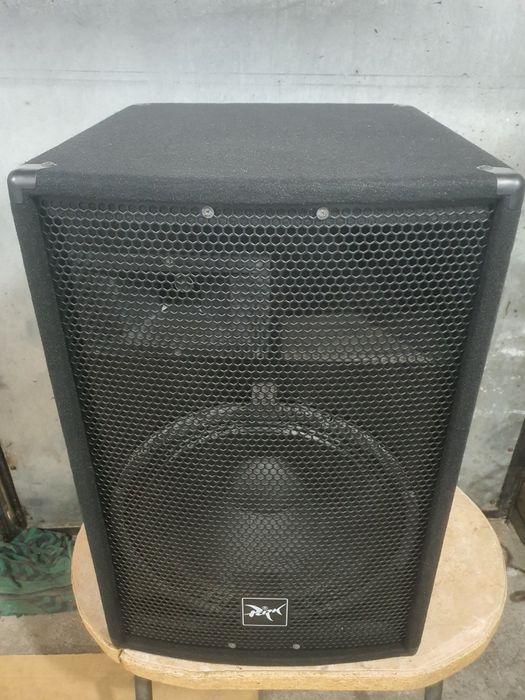 Колонки парк аудіо 15дюймів