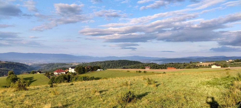 Domek przy lesie "Cisza i relaks"