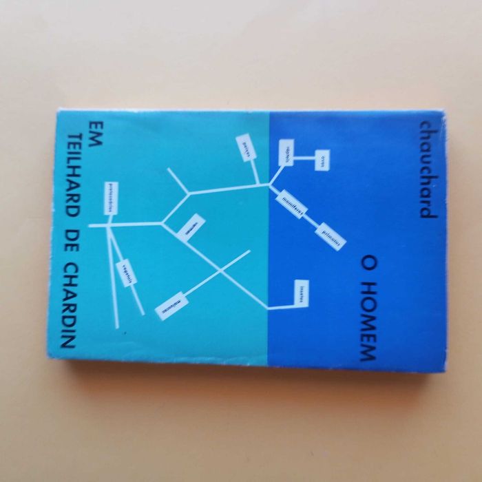 Coleção de Livros Mistos - Autores Variados - Conjunto 22