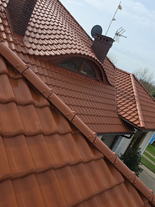 Profesjonalne Mycie I Malowanie Dachów, Kostki brukowej ,Elewacji