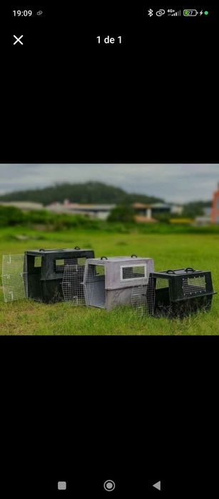 Caixa de transporte aéreo para cães