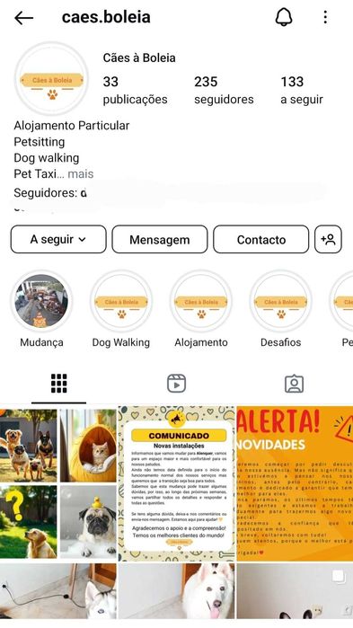 Hotel para cães (Estadia Familiar e Creche)