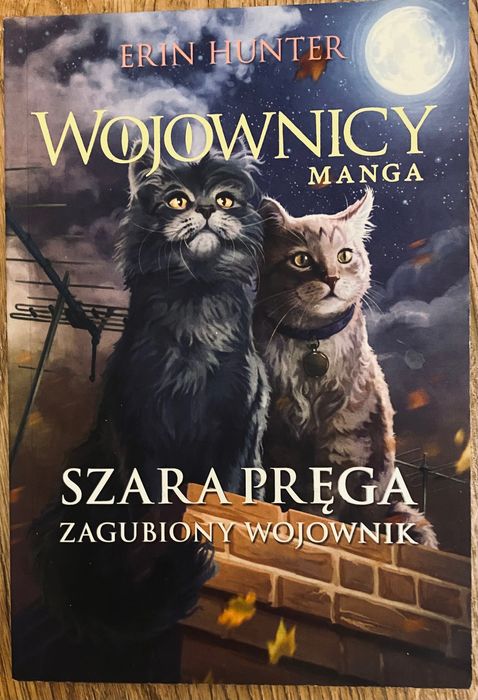 Książki wojownicy szara pręga