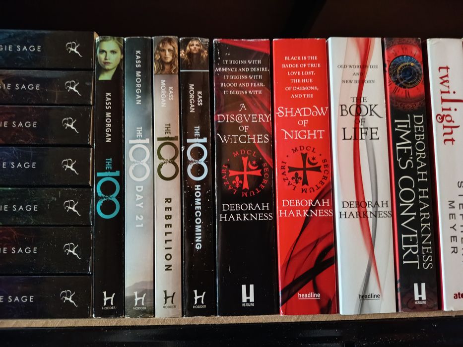 Wyprzedaż książek w języku angielskim