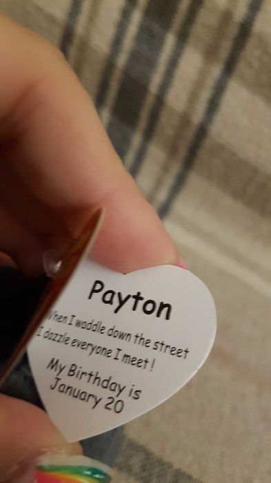 Ty beanie Ballies глазастик пепельный кот PAYTON 22 см