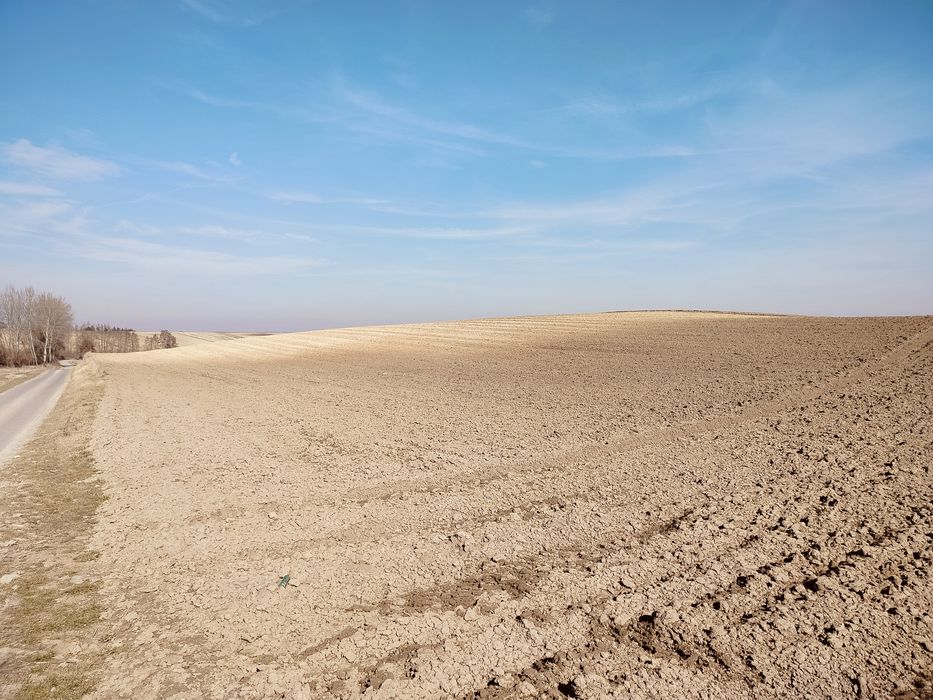 Grunty rolne 3,65 ha