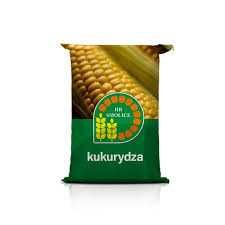 Nasiona materiał siewny kukurydzy - Mas Saatbau Pioneer Smolice RGT SY