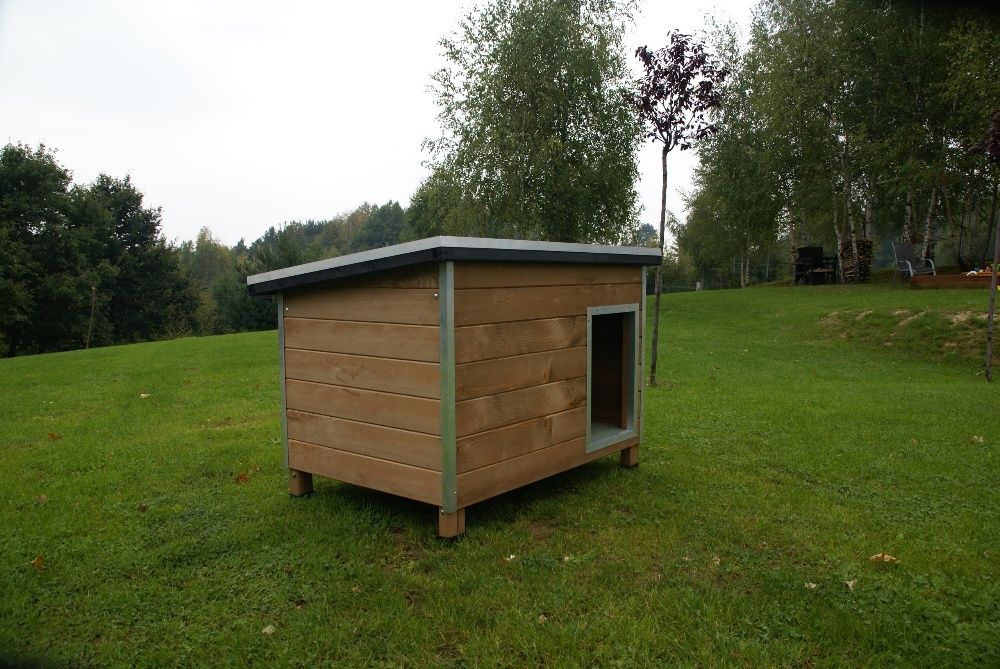 Buda dla psa ROCKY 2