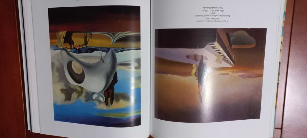 Salvador Dalí - Livro de Arte - NOVO