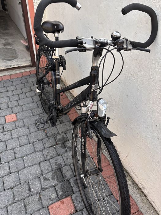 Pegasus milano gt