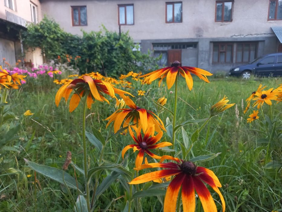 Продам будинок у центрі