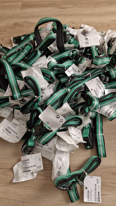 Coleira e Trela Cão