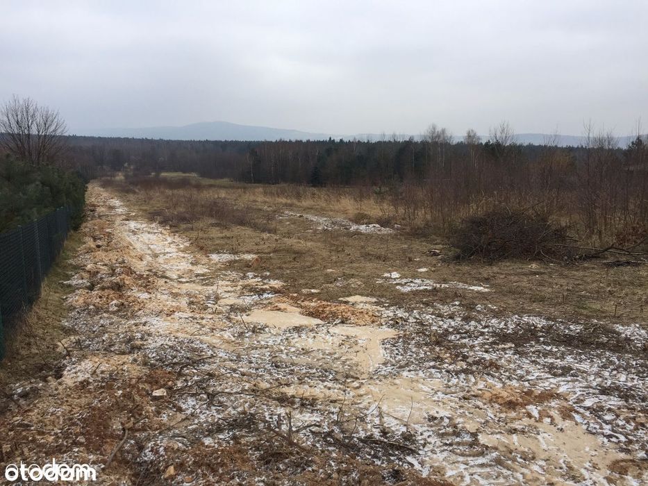 Klonów - piękne działki widokowe