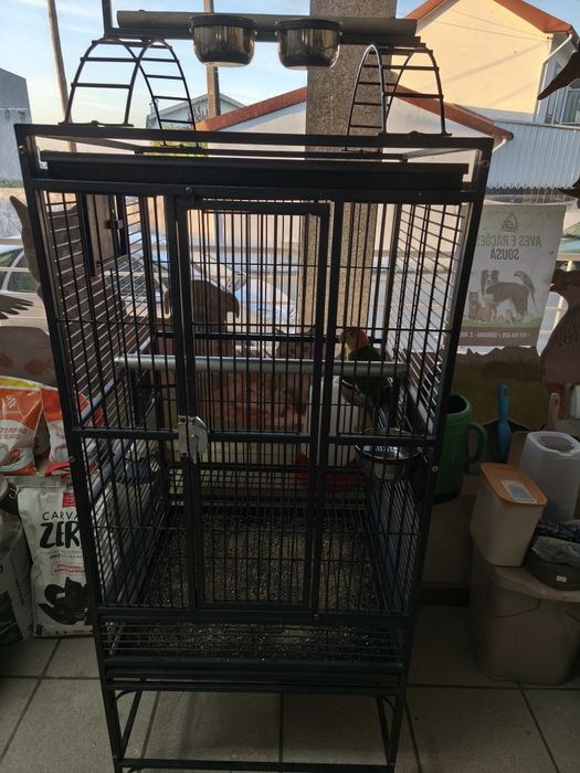 Gaiola papagaio excelente