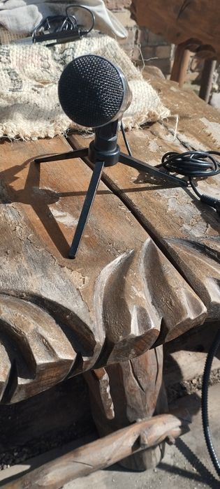 Mikrofon ze statywem
