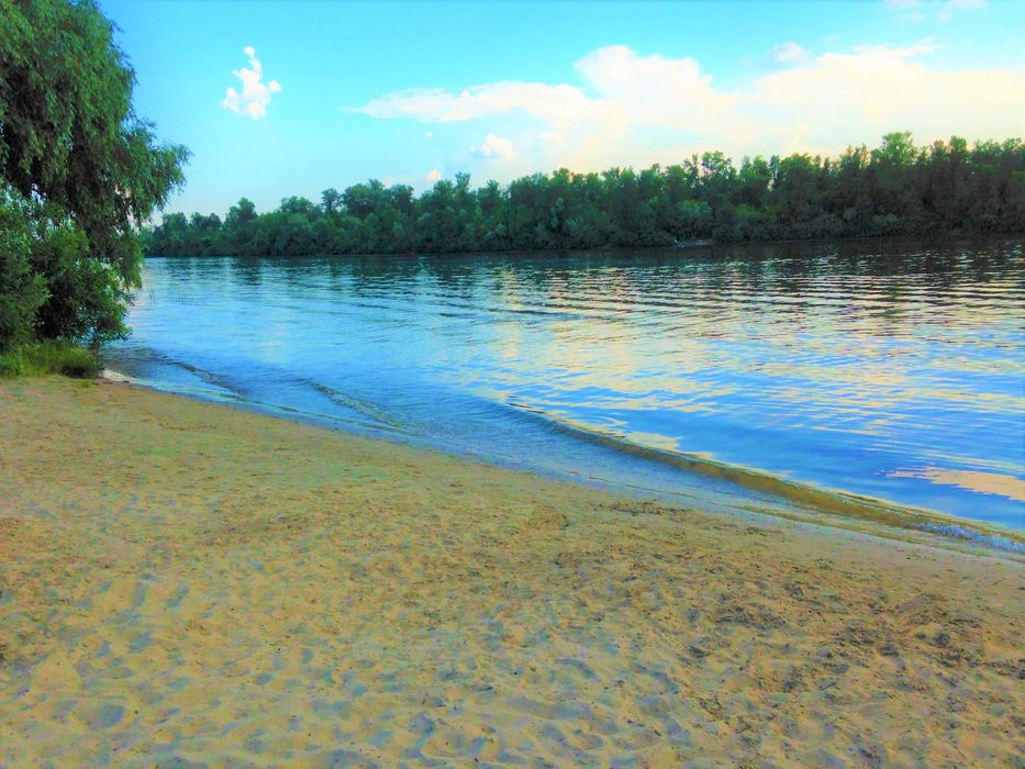 Подобова оренда будинку в Києві м. Лівобережна. Посуточная аренда дома