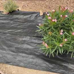 Agrotkanina czarna P70 0,6x100