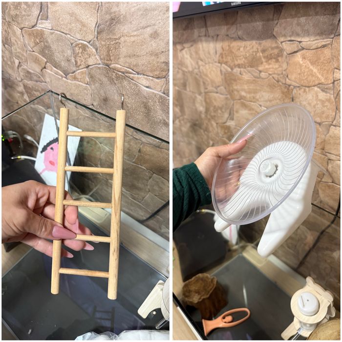 Terrário para roedor