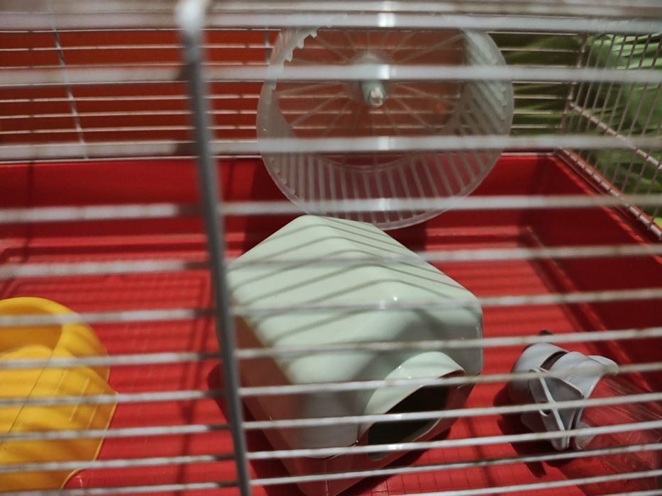 Gaiola de hamster