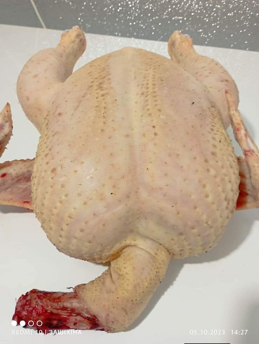 М'ясо домашнього бройлера