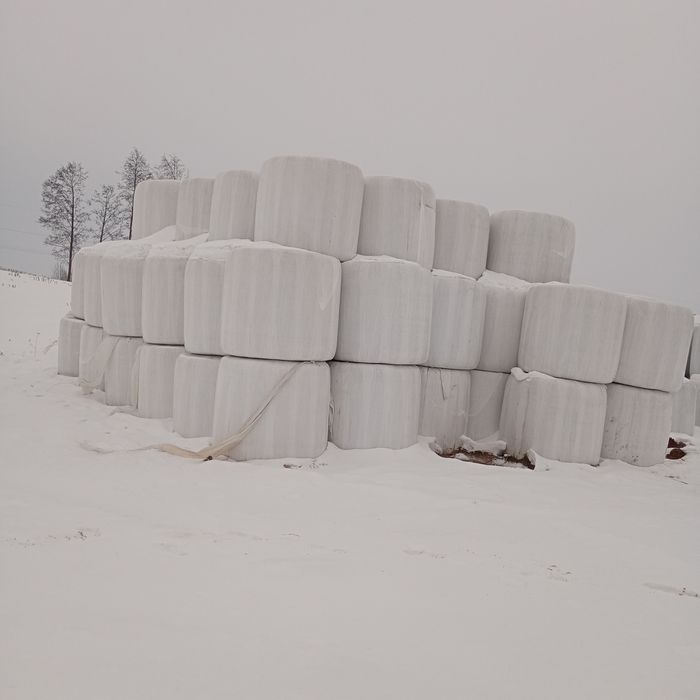 Sprzedam słomę owiniętą po 100 zł