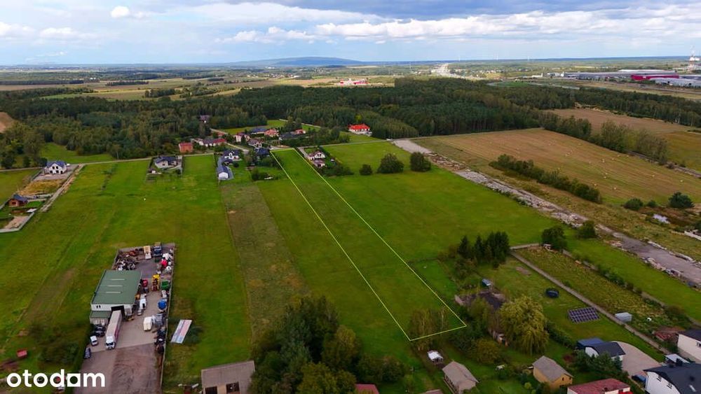Zdjęcie 5