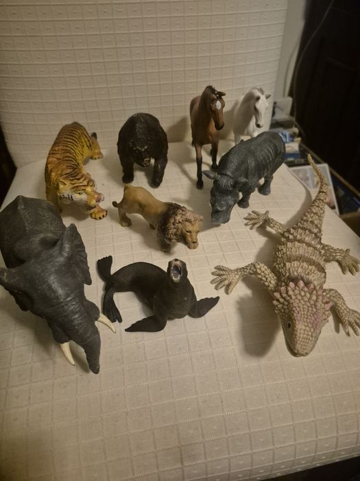 Lote de animais de muita qualidade