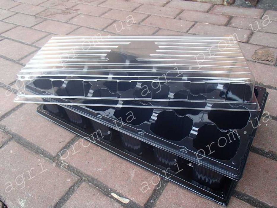 Касета з піддоном,  на 50 вічок. Ціна за 10 комплектів