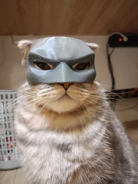 Maska dla kota Batman Bat-Cat Przebranie Strój Halloween TikTok Viral