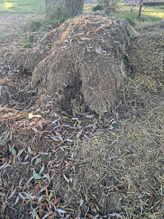 Obornik króliczy I kurzy