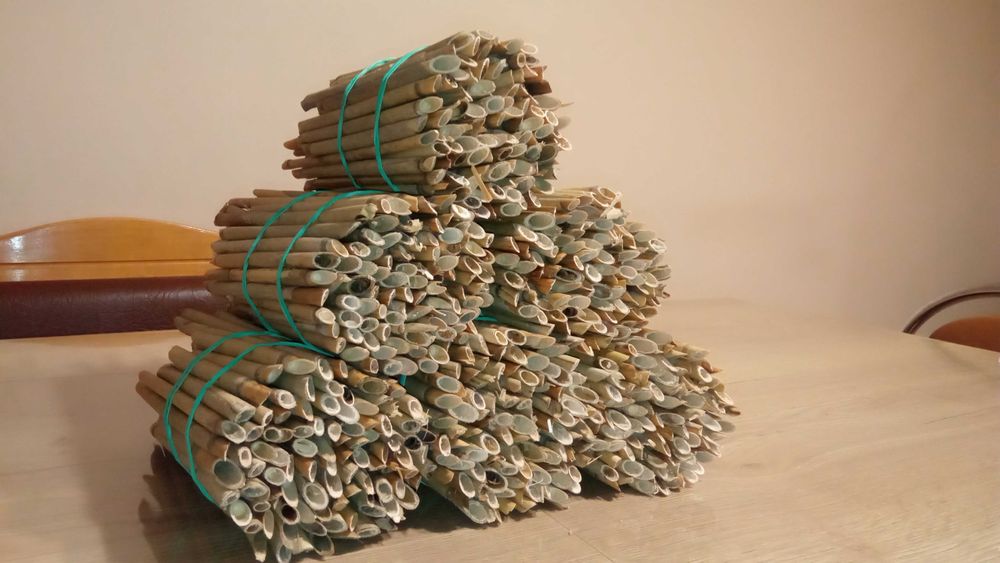 Trzcina dla murarki ,pęczki trzcinowe