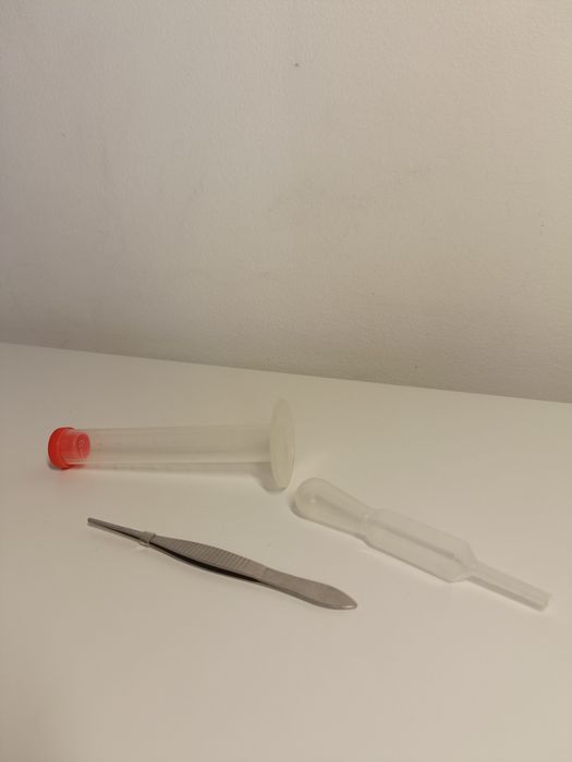 Microscópio de Visor Binocular - EduScience