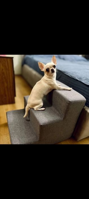 Драбина для собак/ сходинки для собак